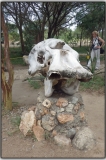 Тарангире. СТАНЗИБАР 13