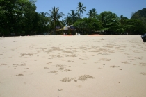 IMG_9448_resize