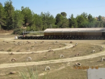 Отзыв об отеле Ozkaymak select, путешествие в Турции