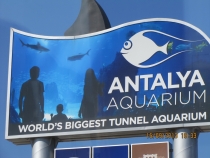 Отзыв об отеле Ozkaymak select, путешествие в Турции