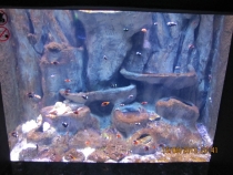 Отзыв об отеле Ozkaymak select, путешествие в Турции