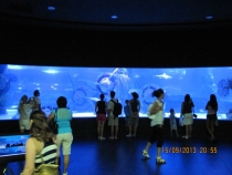 Отзыв об отеле Ozkaymak select, путешествие в Турции