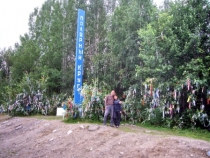 IMGP3004