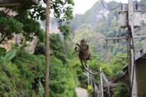 АО Нанг - Рейли - Пи Пи Дон - Бангкок сентябрь 2013