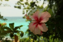 АО Нанг - Рейли - Пи Пи Дон - Бангкок сентябрь 2013