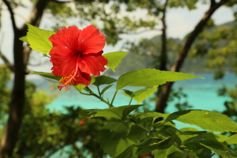 АО Нанг - Рейли - Пи Пи Дон - Бангкок сентябрь 2013