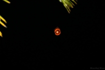 АО Нанг - Рейли - Пи Пи Дон - Бангкок сентябрь 2013