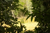 АО Нанг - Рейли - Пи Пи Дон - Бангкок сентябрь 2013