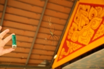 АО Нанг - Рейли - Пи Пи Дон - Бангкок сентябрь 2013