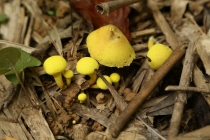 АО Нанг - Рейли - Пи Пи Дон - Бангкок сентябрь 2013