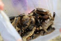 АО Нанг - Рейли - Пи Пи Дон - Бангкок сентябрь 2013