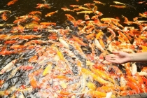 АО Нанг - Рейли - Пи Пи Дон - Бангкок сентябрь 2013