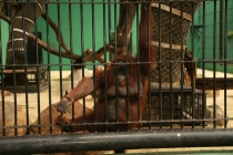 АО Нанг - Рейли - Пи Пи Дон - Бангкок сентябрь 2013