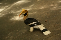 АО Нанг - Рейли - Пи Пи Дон - Бангкок сентябрь 2013