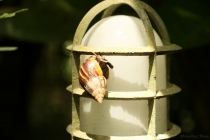 АО Нанг - Рейли - Пи Пи Дон - Бангкок сентябрь 2013