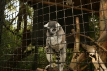 АО Нанг - Рейли - Пи Пи Дон - Бангкок сентябрь 2013