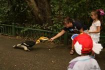 АО Нанг - Рейли - Пи Пи Дон - Бангкок сентябрь 2013