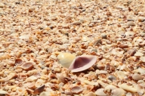 АО Нанг - Рейли - Пи Пи Дон - Бангкок сентябрь 2013