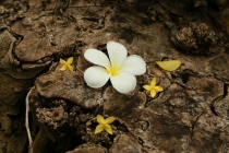 АО Нанг - Рейли - Пи Пи Дон - Бангкок сентябрь 2013