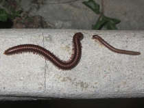 АО Нанг - Рейли - Пи Пи Дон - Бангкок сентябрь 2013