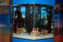 Впечатления о Китае. Февраль 2013 (Шанхай-Ханчжоу-Яньтай-Пекин)