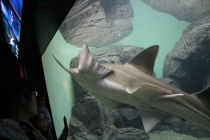 Впечатления о Китае. Февраль 2013 (Шанхай-Ханчжоу-Яньтай-Пекин)