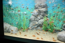 Впечатления о Китае. Февраль 2013 (Шанхай-Ханчжоу-Яньтай-Пекин)