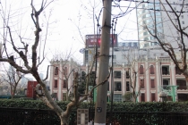 Впечатления о Китае. Февраль 2013 (Шанхай-Ханчжоу-Яньтай-Пекин)