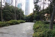 Впечатления о Китае. Февраль 2013 (Шанхай-Ханчжоу-Яньтай-Пекин)