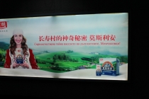 Впечатления о Китае. Февраль 2013 (Шанхай-Ханчжоу-Яньтай-Пекин)