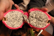 Впечатления о Китае. Февраль 2013 (Шанхай-Ханчжоу-Яньтай-Пекин)