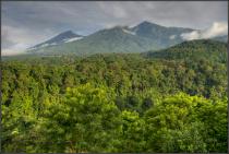 _DSC3627_4__3__2__1_