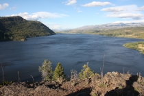 Cholila