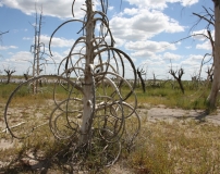 Epecuen