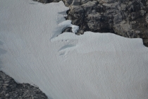 БРИКСДАЛБРИИН