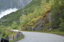 БРИКСДАЛБРИИН