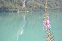 БРИКСДАЛБРИИН