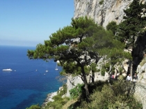 Остров Капри.