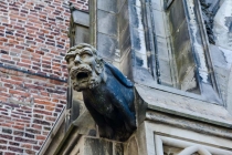 Сочинение на тему: Как я провела летние каникулы. Нидерланды-Франция