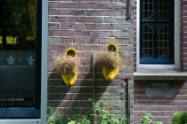 Сочинение на тему: Как я провела летние каникулы. Нидерланды-Франция