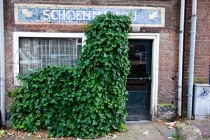 Сочинение на тему: Как я провела летние каникулы. Нидерланды-Франция