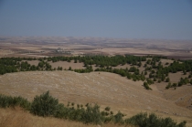 Отзыв по туру "Сокровища Восточной Анатолии"+2 дня в Стамбуле.