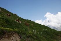 Долина Lauterbrunnen, регион Jungfrau – красоты летом, информация для любителей погулять