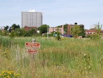 Детройт и окрестности, 2012.