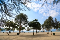 8 дней в Гонконге