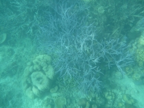 Манила-Корон-ЭльНидо-Панглао-Бохол-Себу-Боракай (Новый Год Январь 2013)