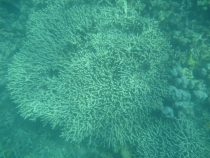 Манила-Корон-ЭльНидо-Панглао-Бохол-Себу-Боракай (Новый Год Январь 2013)