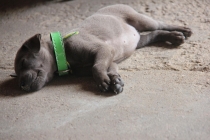 Манила-Корон-ЭльНидо-Панглао-Бохол-Себу-Боракай (Новый Год Январь 2013)