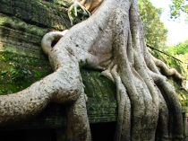 Сием-Рип окт.2013