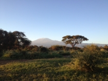 Утро в Амбосели